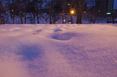 IMG_2141