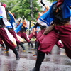 YOSAKOI