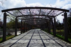中島公園