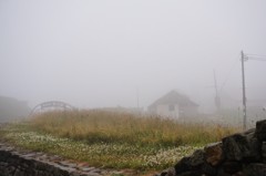 DSC09795