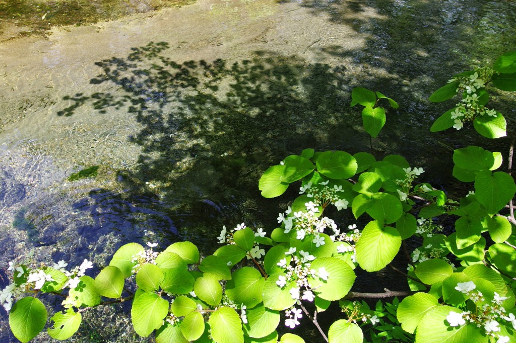 ふきだし公園