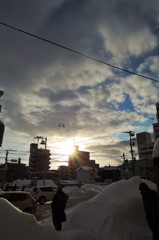 朝