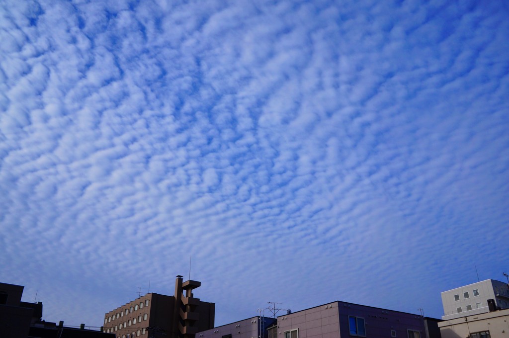 うろこ雲