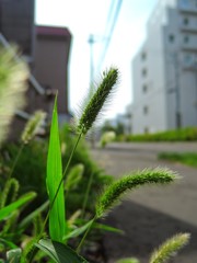 IMG_6846
