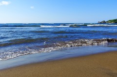 海