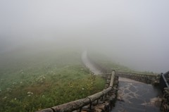 DSC09813