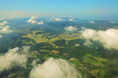 上空から