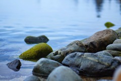 IMG_0357