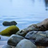 IMG_0357