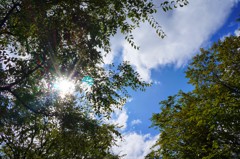 大通公園の空