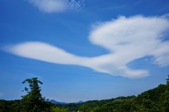 雲