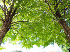 DSCN0147