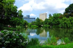 中島公園