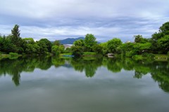 菖蒲池