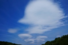 雲