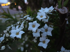 2014-05-06 18.51.23