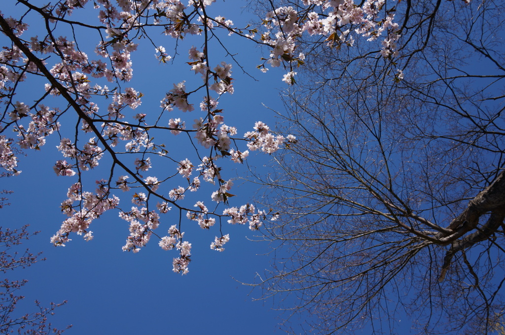 2014-04-29 09.13.16