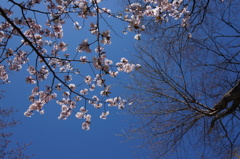 2014-04-29 09.13.16