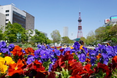 2014-05-25 13.22.24