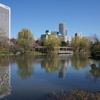 2014-04-29 08.58.27