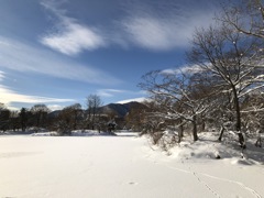 中島公園の雪景色