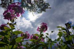 大通公園の空