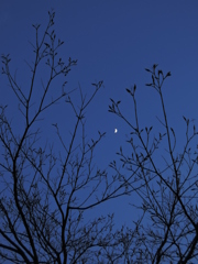 2014-05-06 18.53.39