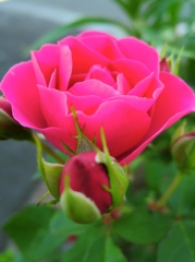 DSCN4834