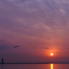 セントレアの夕刻