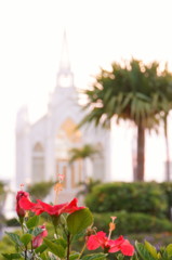 OKINAWA WEDDING 
