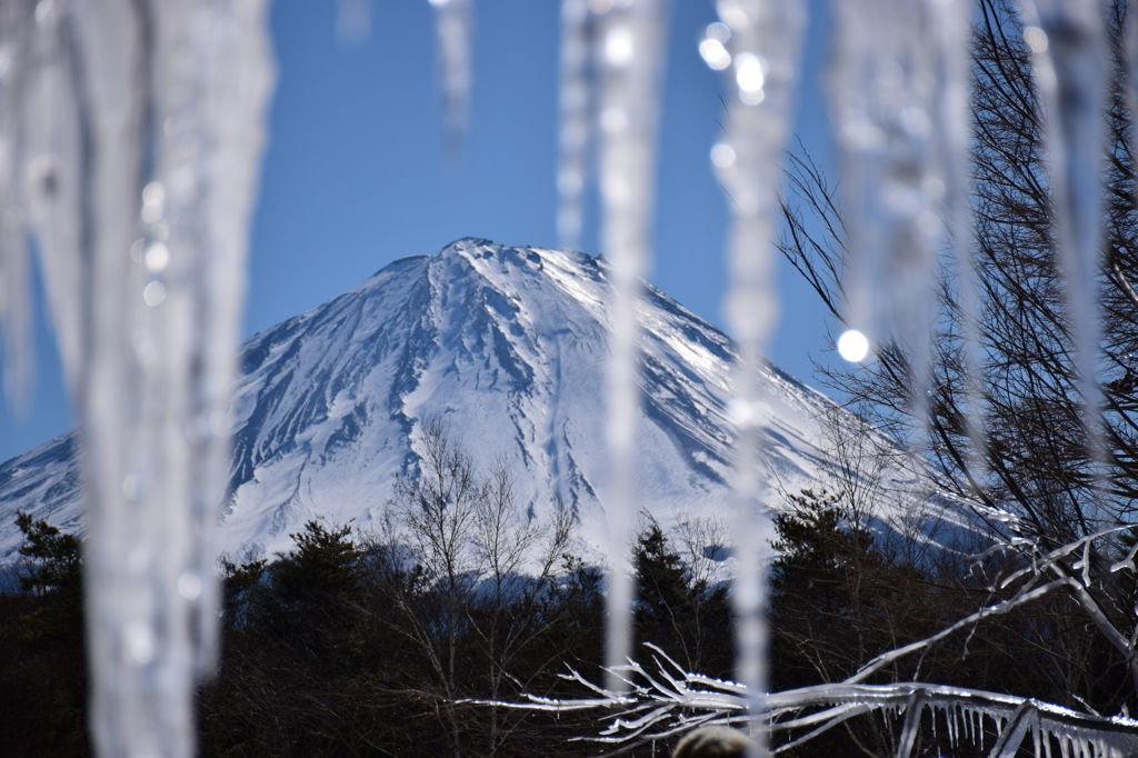 icicles