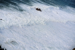 white waves