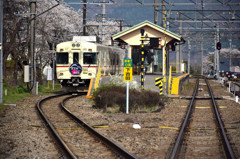 a Sakura train