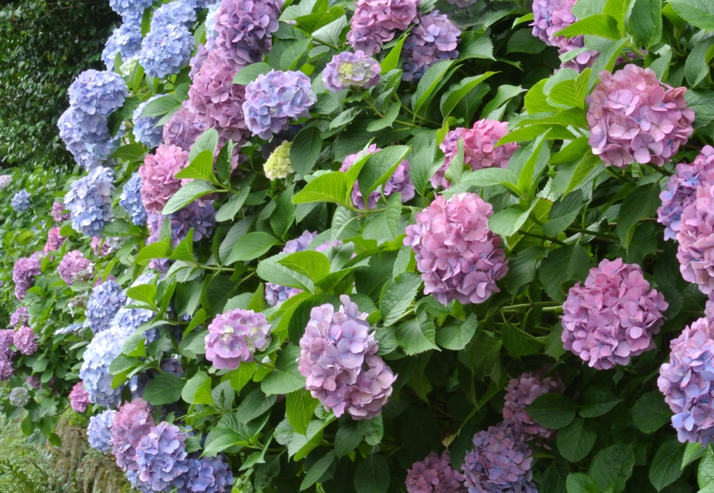 no rain, no rainbow-color
