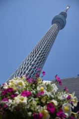 with flowers