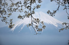 misty Mt. Fuji