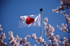 the rising-sun flag with cherry blossoms