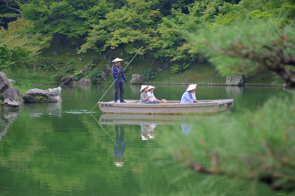 a pond in pine trees