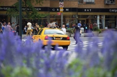 a yellow cab