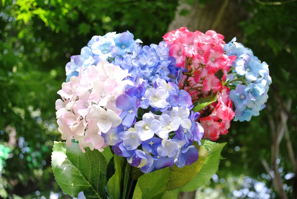 お供えは紫陽花