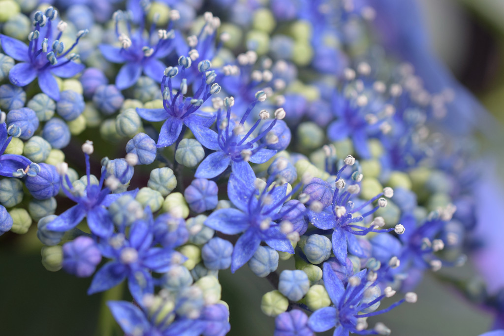 blue jewelry