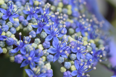 blue jewelry