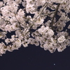 yo☆sakura