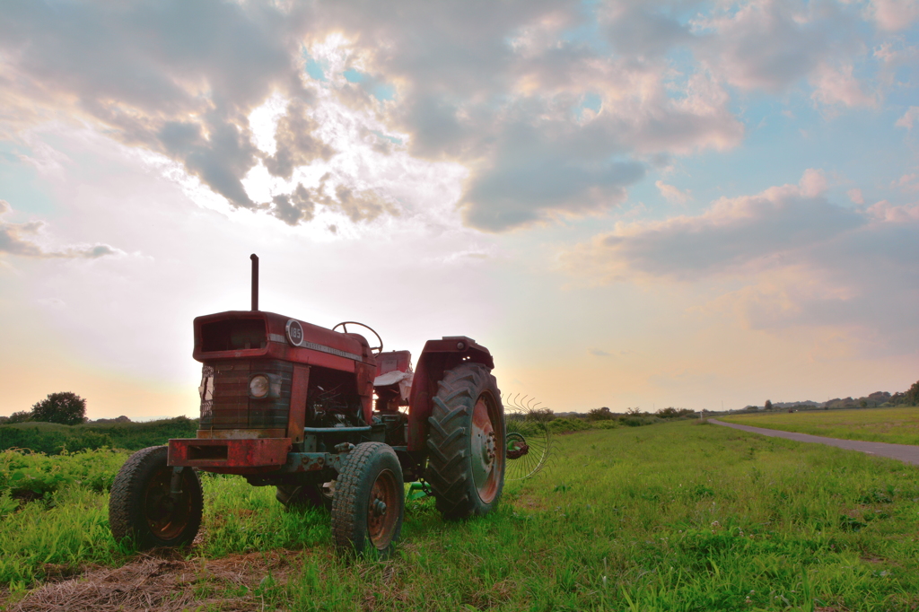 Massey Ferguson 185