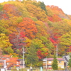鮮やかな裏山
