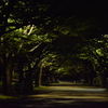 公園散歩(夜)