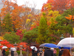 賑やかな庭園