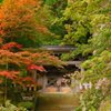 永平寺にて