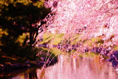 DSC01180