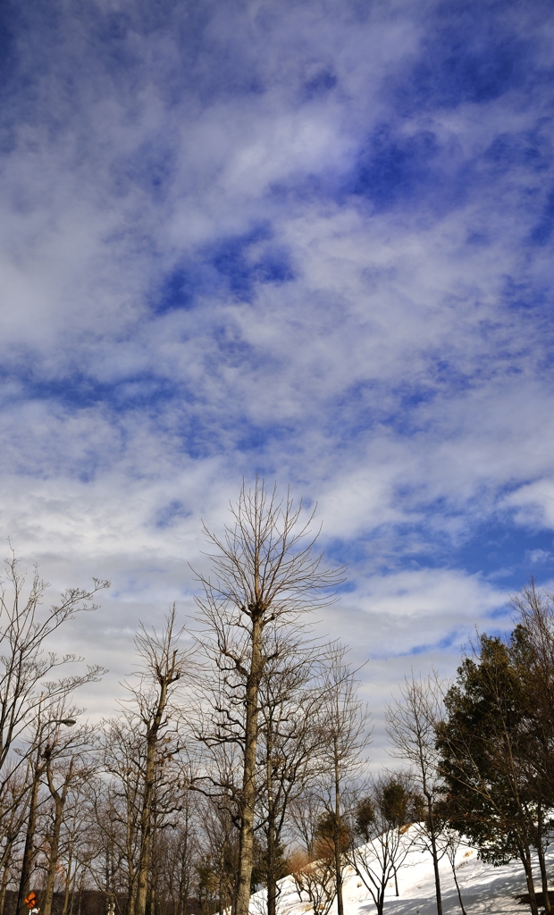 雪上がり青空